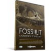 Fossiilit – katastrofin todistajat (DVD)
